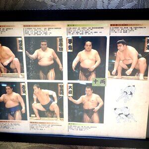 Sumo Wrestling Framed picture